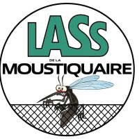 LASS DE LA MOUSTIQUAIRE